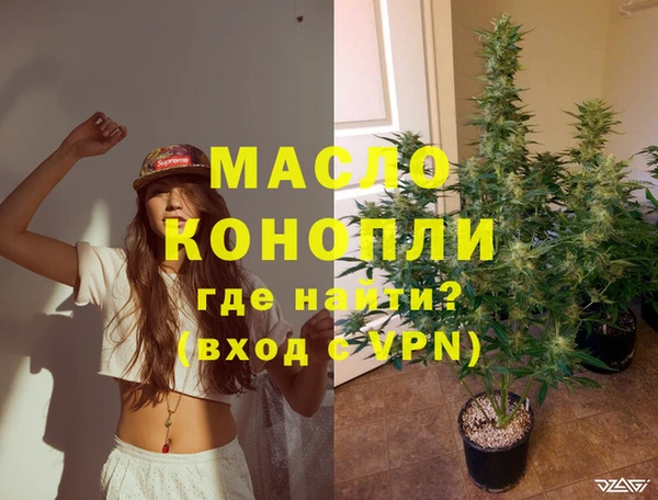 индика Волоколамск