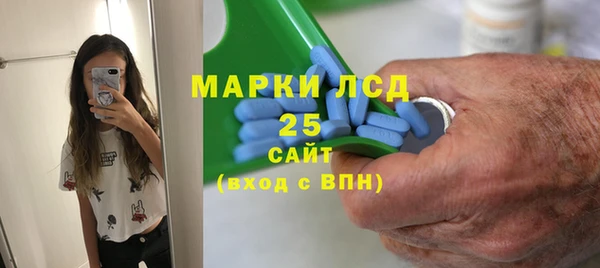 индика Волоколамск