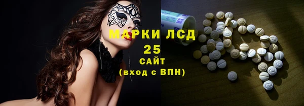 индика Волоколамск