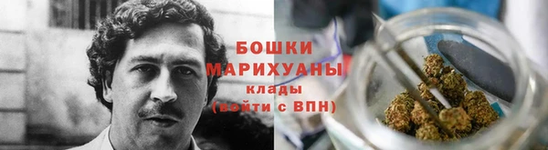 гидра Верея