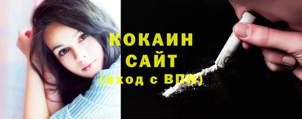 индика Волоколамск