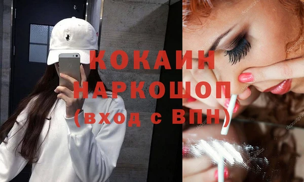 индика Волоколамск