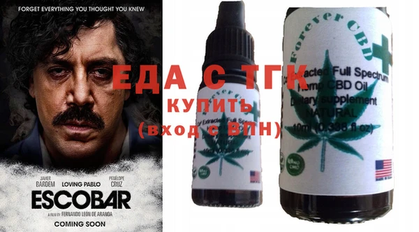 индика Волоколамск