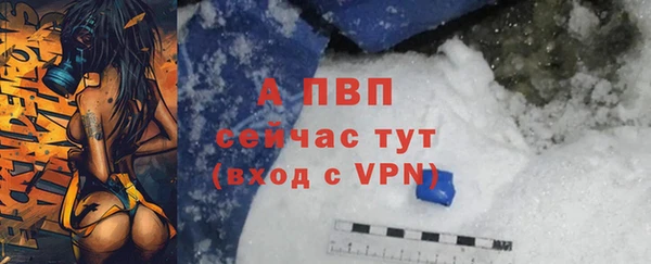 индика Волоколамск
