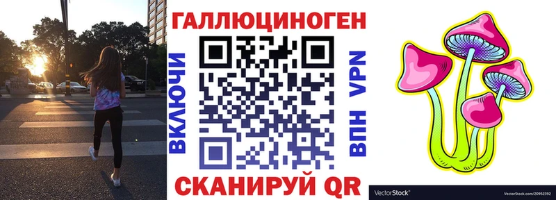 Псилоцибиновые грибы Psilocybe  даркнет сайт  Звенигород 